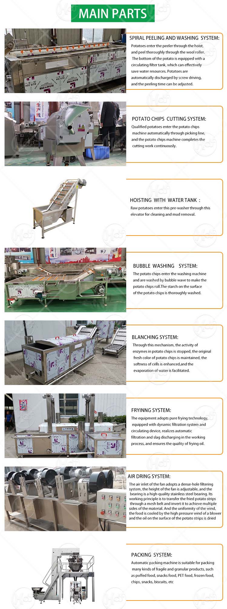 Automatic potato chips making machine for sale - Potato Chips and french fries - 1
