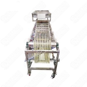 Fruit and vegetable potato grader/sorter