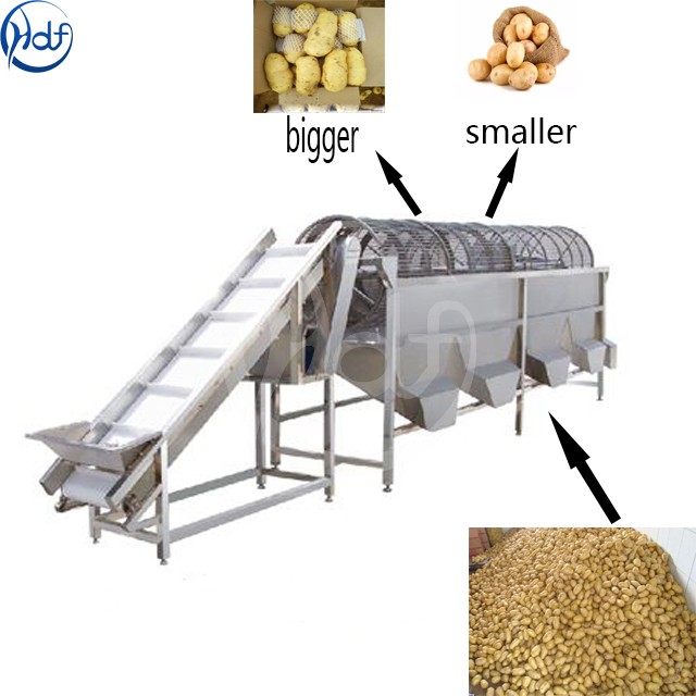 Potato grading machine size sorting machine price - Potato Grader Machine - 1
