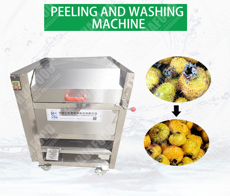 Industrial Fruit Vegetable Ginger Peeling Radish Potato Washing Machine - Potato Washing peeling - 1