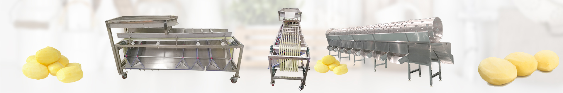 Fruitandvegetablepotatograder/sorter