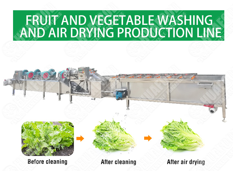 Leafy vegetable washing and drying line - Potato Cleaning Machine - 1