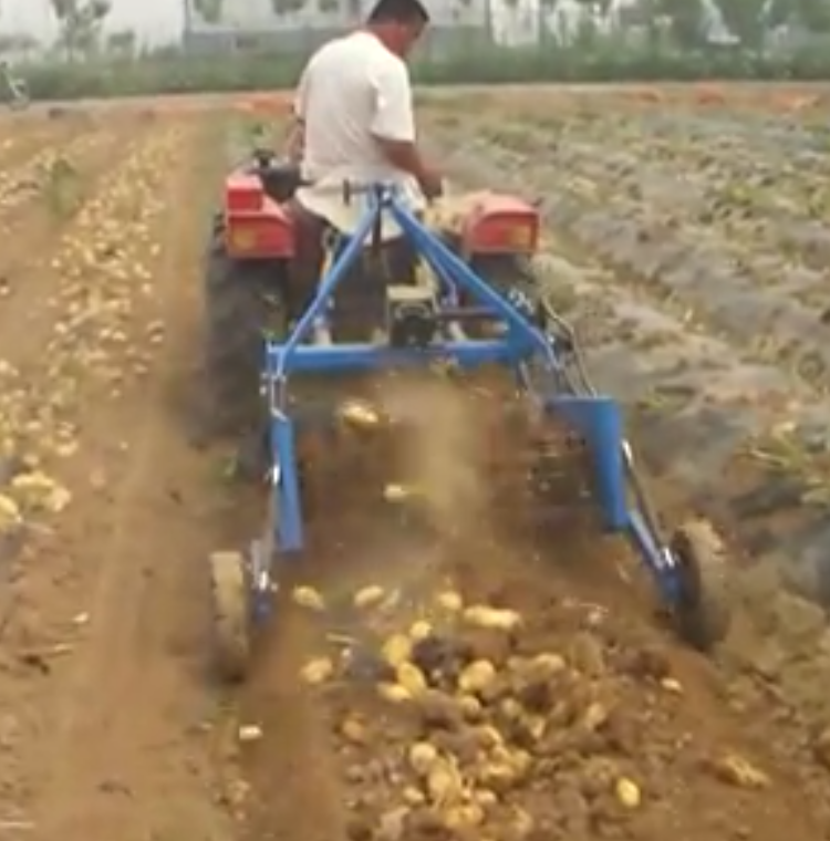 Potato Harvester Sweet Potato Garlic Digger Harvesters - Potato Harvester And Planter - 1