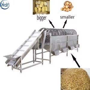 The Advantages of Potato Grader Machine in Crop Sorting - Company News - 1