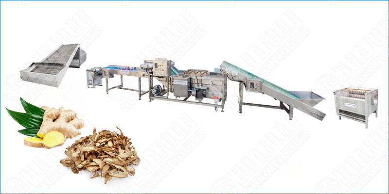 Efficient & Reliable Ginger Flake Dehydration Processing Line -  - 1