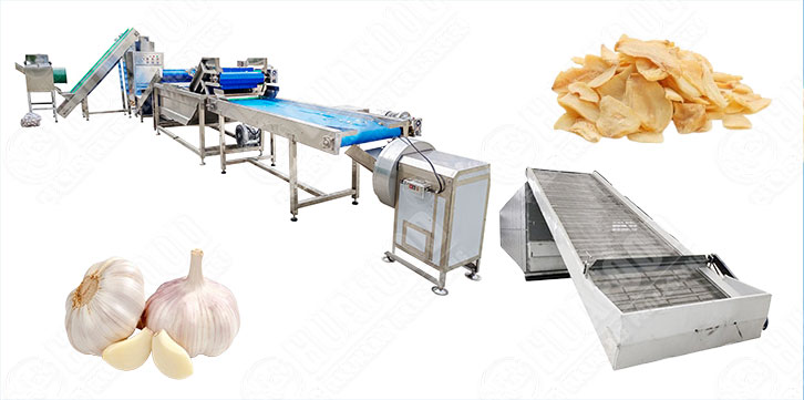 High Efficiency Garlic Flake Dehydration Processing Line Plant -  - 1