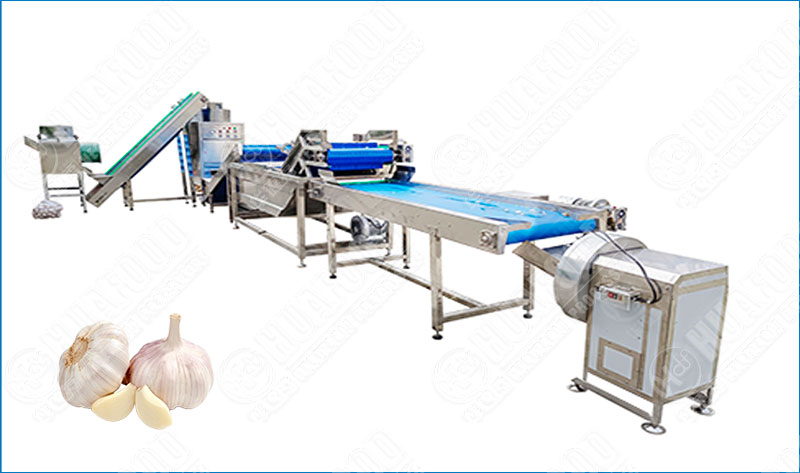 Garlic Peeling Production Line For Garlic Clove Skin Removing & Cleaning -  - 1