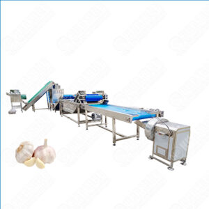 Garlic Powder Making Process in Factory
