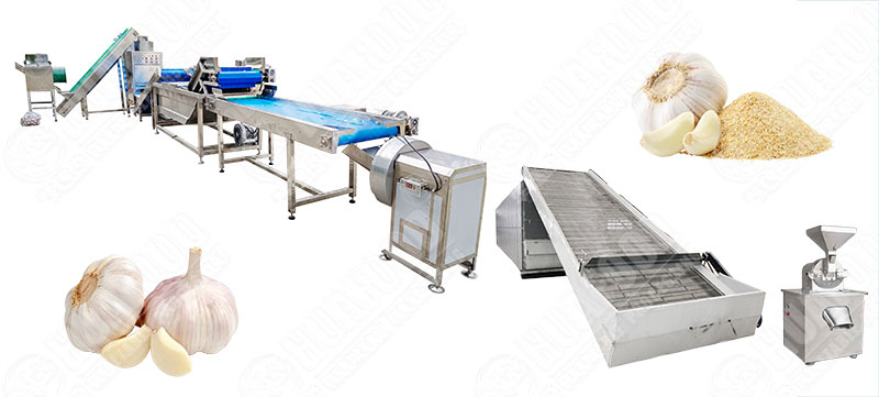 Turnkey Garlic Powder Production Line for Spice Factories -  - 1