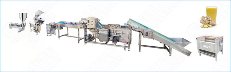Stainless Steel Ginger Juice Production Line for Fresh & Pure Juice -  - 1