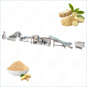 Ginger Powder Manufacturing Business