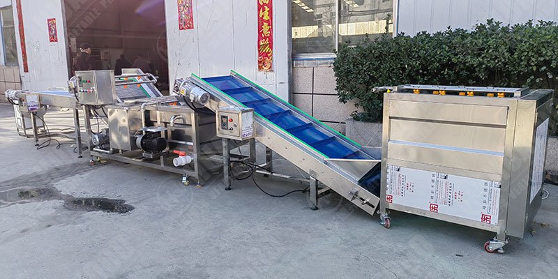 Complete Ginger Powder Production Line - From Washing to Packing -  - 2