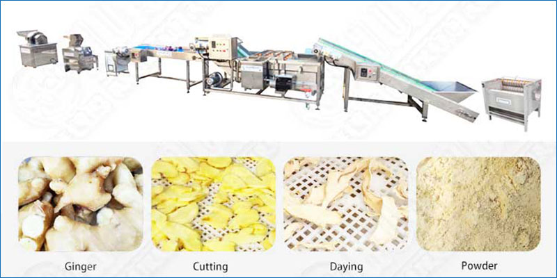 Complete Ginger Powder Production Line - From Washing to Packing -  - 1