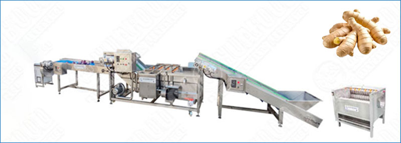 Industrial Ginger Washing Pre-Processing Machinery Scalable Output -  - 1
