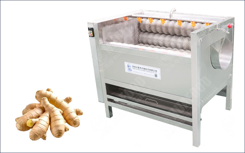 Ginger Washing And Peeling Machine Price - News - 1 ginger washing and peeling machine