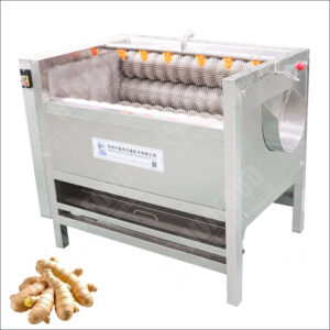 Ginger Washing And Peeling Machine Price