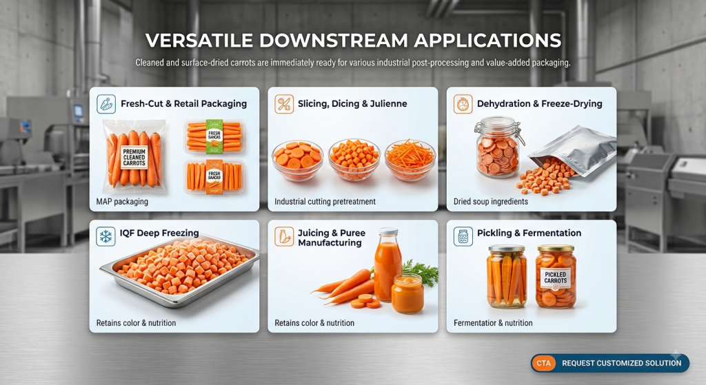 Multifunctional Carrot Washing Line - Carrot processing line - 1