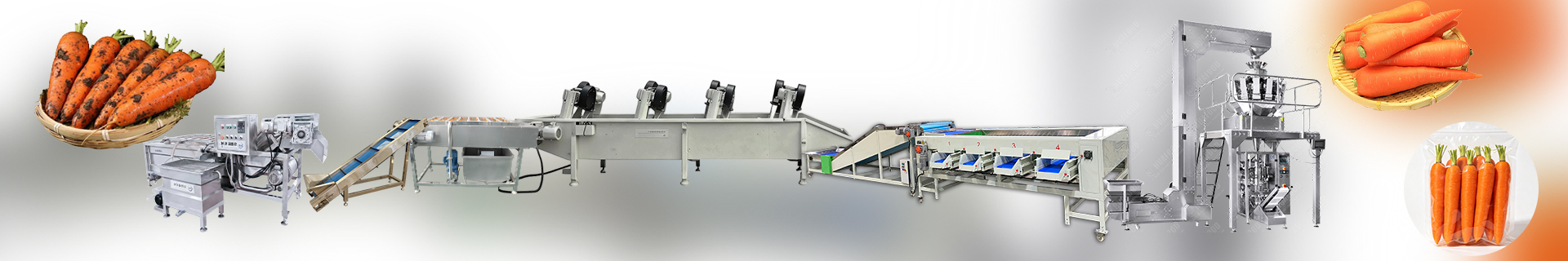 MultifunctionalCarrotWashingLine-Foodprocessingmachine