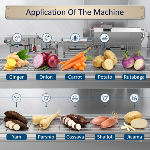High-Efficiency Ginger Cleaning Line - Ginger Cleaning Machine - 1