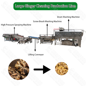 Industrial Ginger Washing Machine