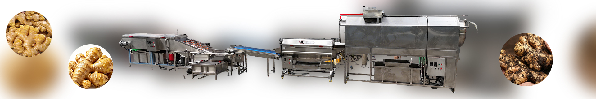 High-EfficiencyGingerCleaningLine-Foodprocessingmachine