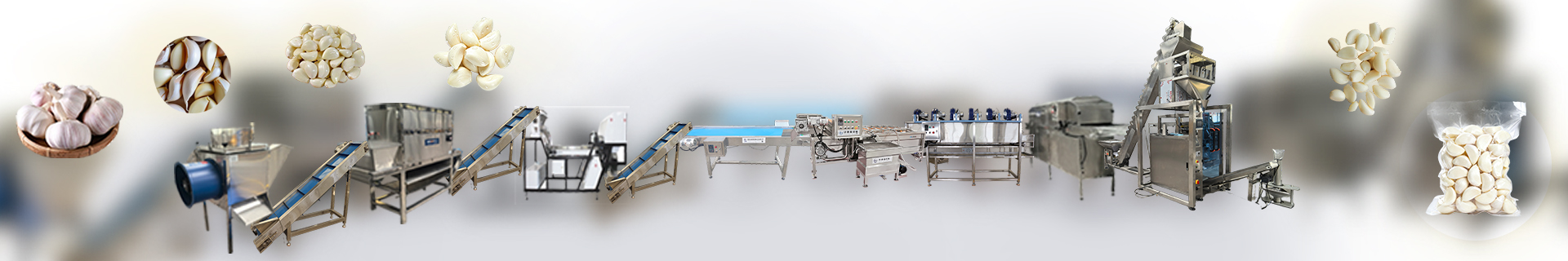 garliccloveprocessingline-Foodprocessingmachine