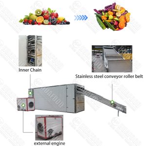 Multifunctional Industrial Dehydrator