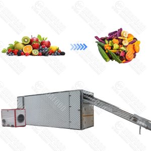 Multi-Layer Continuous Heat Pump Drye