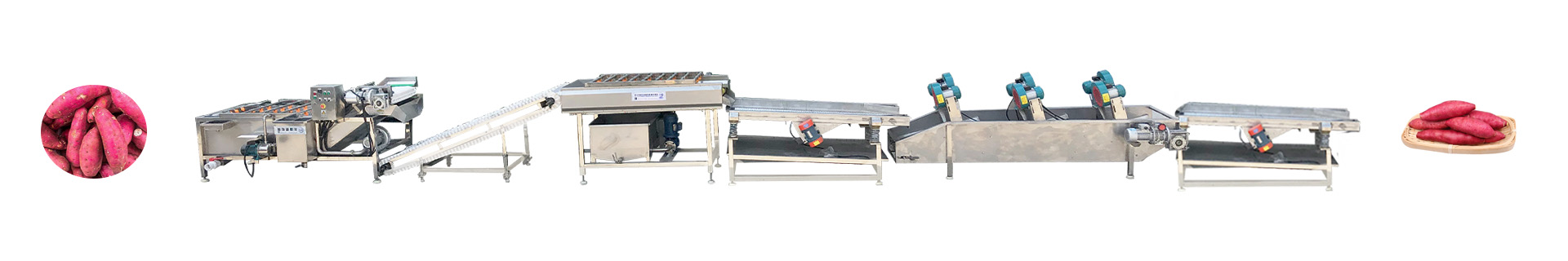 Sweetpotatowashingline-Foodprocessingmachine