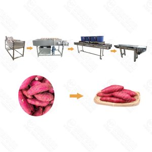sweet potato washing line