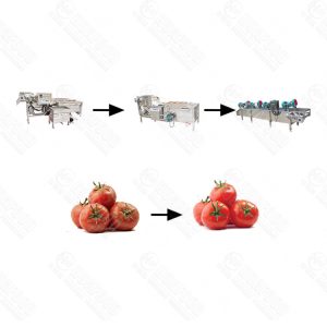 Tomato washing production line
