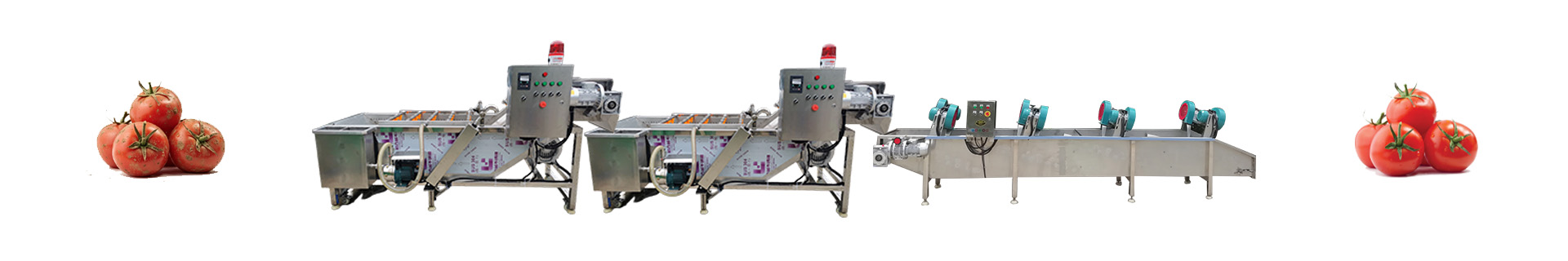 Tomatowashingline-Foodprocessingmachine