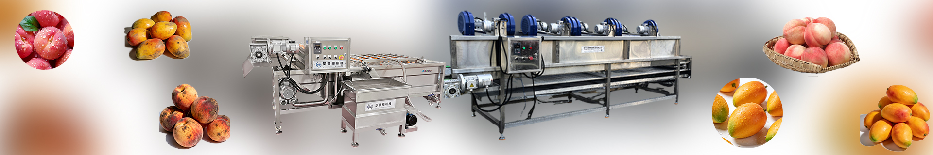 Multi-TierBeltDryer-Foodprocessingmachine