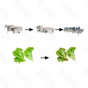Automatic vegetable washing production line