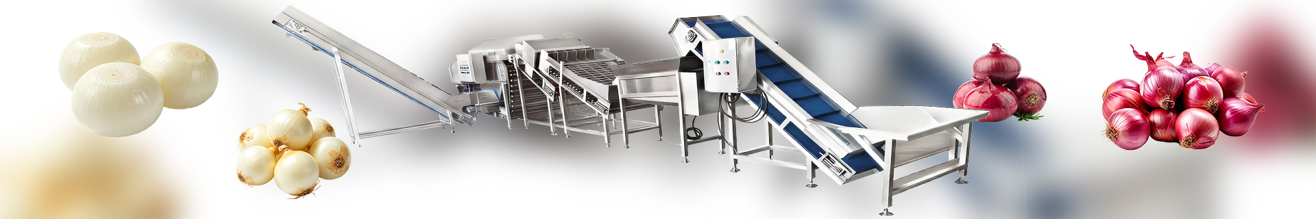 Onionpeelingline-Foodprocessingmachine